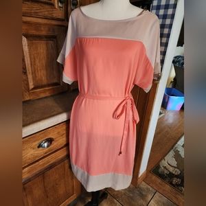 New York and Company Shift Dress Size M (Tangerine and Cream)